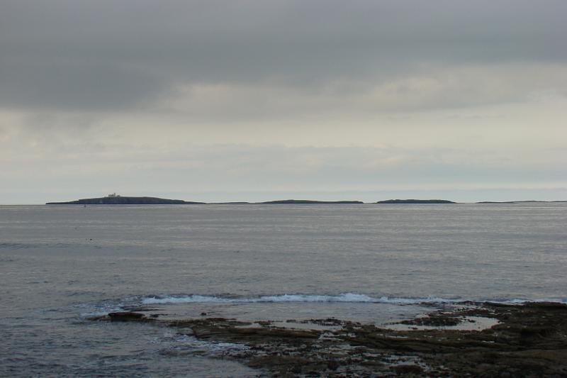 dsc03892.jpg