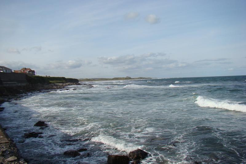 dsc03969.jpg