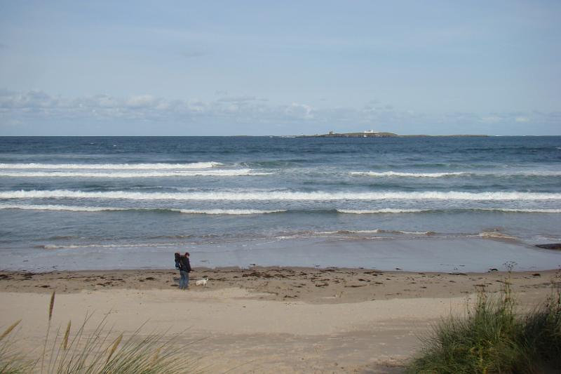 dsc03974.jpg