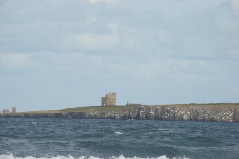 dsc03980.jpg