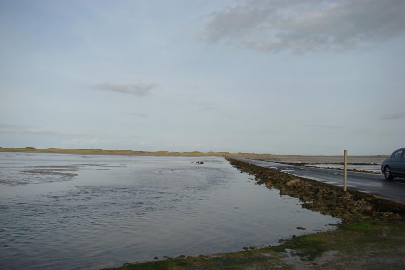 dsc04030.jpg