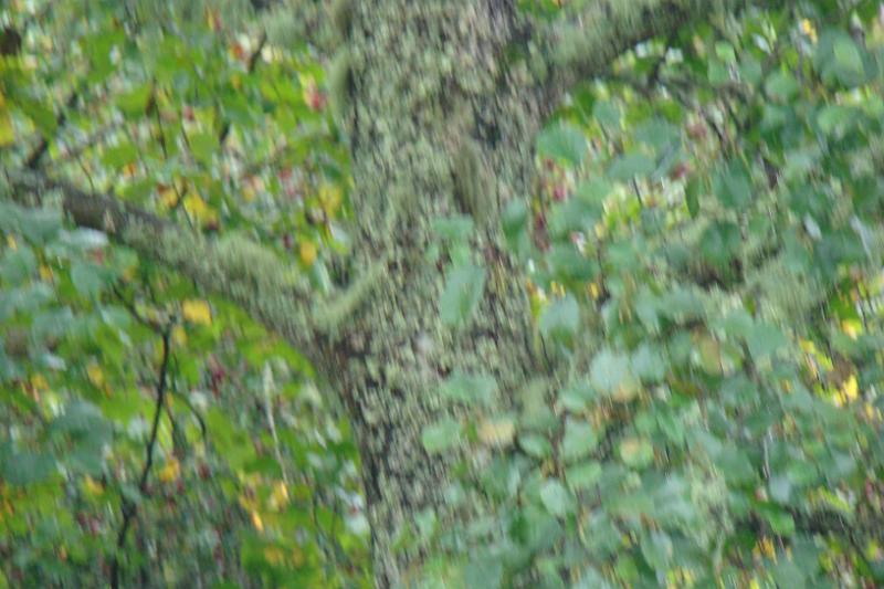 dsc04093.jpg